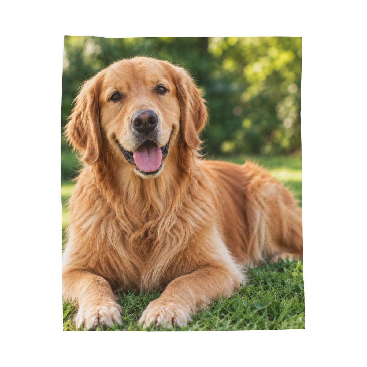Custom Photo Blanket